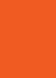 ORANGE_close_up_.6454.png